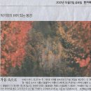 무지개비어