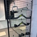 혼자왔짐 이미지