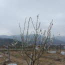 청솔농장 이미지