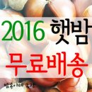 송이네농장 이미지