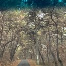 도평 스테이 이미지