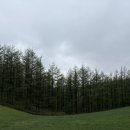 영진목장 이미지