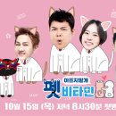 비타민동물메디컬센터 이미지