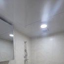 우성동백 이미지