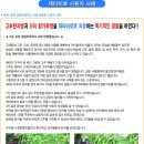 고추탄저병과 오이 흰가루병 치료 (포항송림초등학교 교장) 이미지