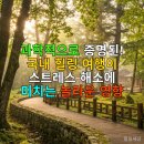 마음건강, 스트레스 해소와 감정조절 | 과학적으로 증명된! 국내 힐링 여행이 스트레스 해소에 미치는 놀라운 영향