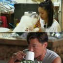 정일목장 이미지