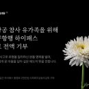 SM 이미지