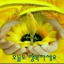 솜씨방 Daum카페