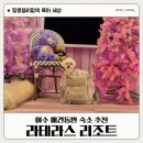 여수중앙병원 | [공지] 여수 애견동반 숙소 라테라스 리조트 아기랑 여행 실내수영장 후기