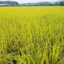 경기도 종자관리소 이미지