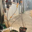 여산농장 이미지