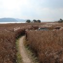 서천 금강2경 도보여행길 이미지