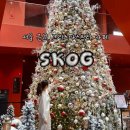 남한산성 | 서울 근교 크리스마스트리 카페 남한산성 스코그 솔직후기