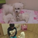 공세농장 이미지