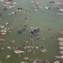 정빈자원 | 2026년 4월 1부: 준비되지 않은