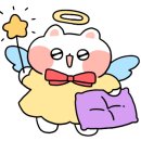 캣츠나비 이미지