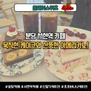 서현역 카페 | 아기자기한 감성에 감동적인 케이크 맛집, '올데이스위츠' 솔직 후기