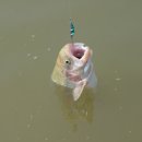 성지골낚시터 이미지