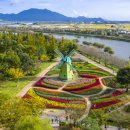 정원비디오 이미지