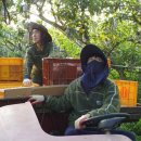 강대농장 이미지