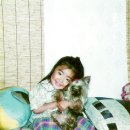 꼬실이 이미지