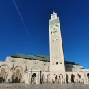 카사블랑카 이미지