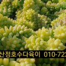 금옥농장 이미지