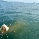 이천의료원 이미지