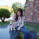 익산애견테마파크 이미지