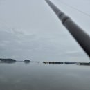 태안-호스릴-49 | 태안 출조 후기 (24/09/12) <쭈>