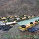 벌꿀농장 이미지