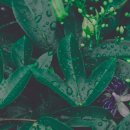 동문아파트 이미지