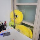 노대실로 | 추억 돌아보기- 송화마을8단지 803동 거주 후기(행복주택 16형)