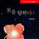 꽃을탐하다 이미지