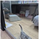 빛나는영어학원