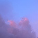 파스타집이야 이미지