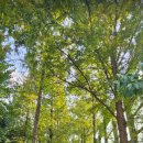 우정아파트 이미지