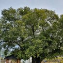 가일마을 이미지