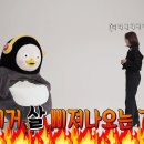 타니예르 이미지