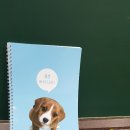 하이스터디학원 이미지