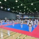 용인대 동양합기도 이미지