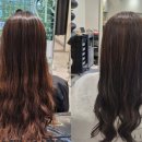 벨르코리아 이미지