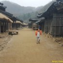 달빛 아리수 이미지