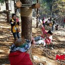 더두드림 이미지