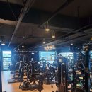 로얄피트니스 이미지