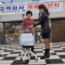 협신주단