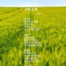 청보리보릿고개 이미지