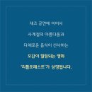 최용민 밴드와 함께하는 네이버블로그