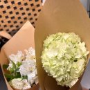 더뷰티호텔 이미지